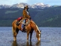 cowboy,cavallo,lago