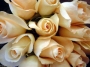 rose,bouquet