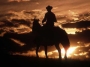cavaliere al tramonto