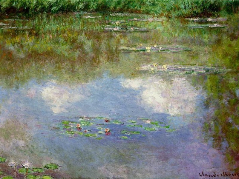 Ninfee (800x600 - 132 KB)
