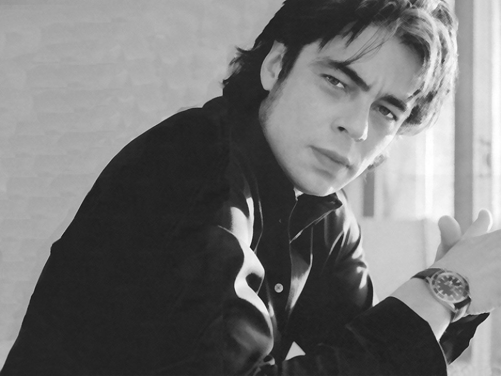 Benicio Del Toro (1024x768 - 85 KB)