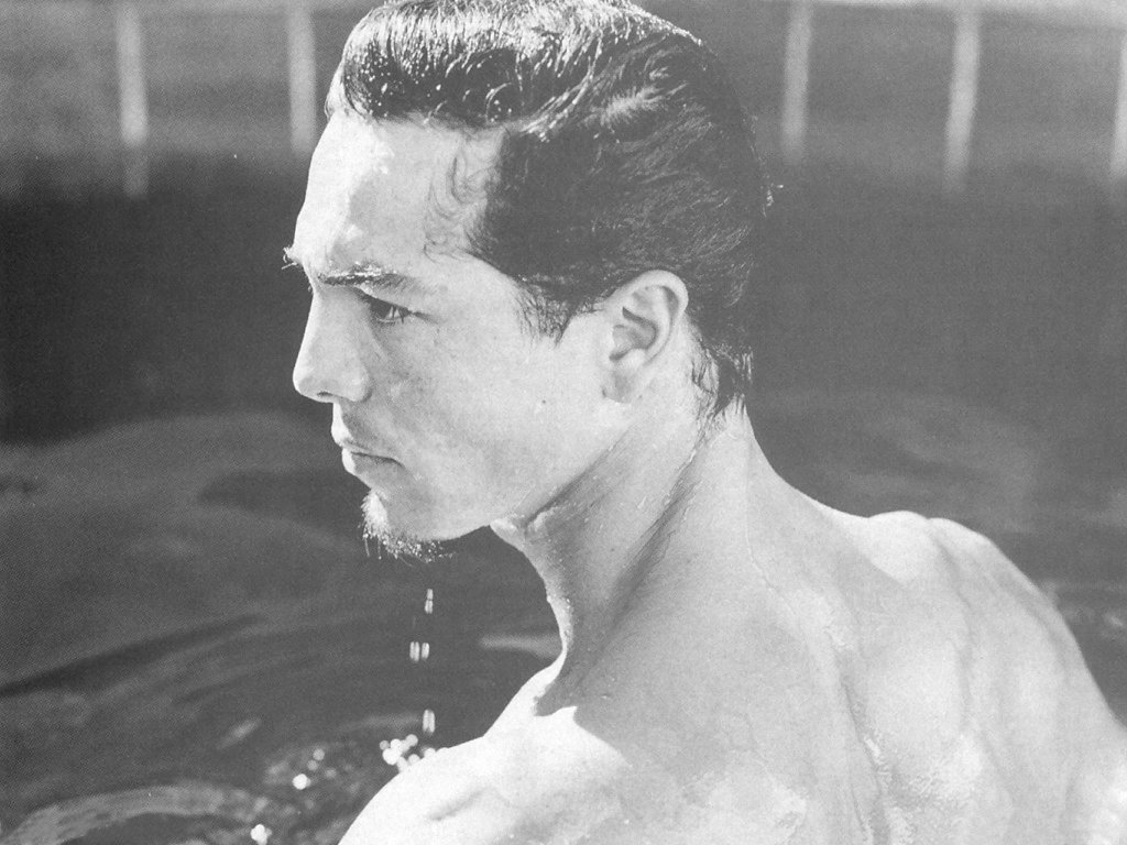 Benjamin Bratt (1024x768 - 130 KB)