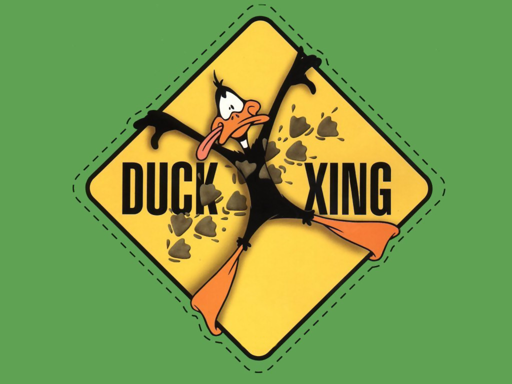 Duffy Duck (1024x768 - 121 KB)