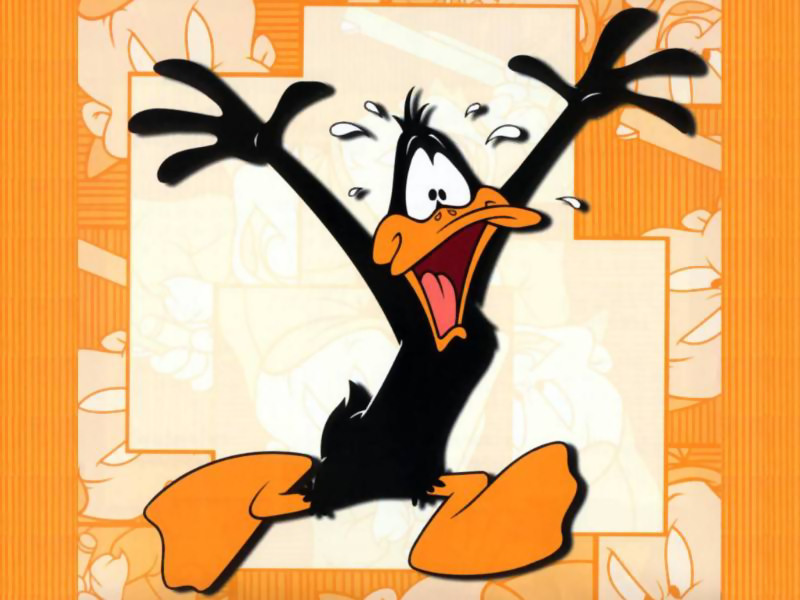 Duffy Duck (800x600 - 111 KB)