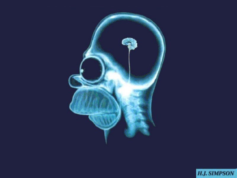 Homer J. Simpson (800x600 - 32 KB)