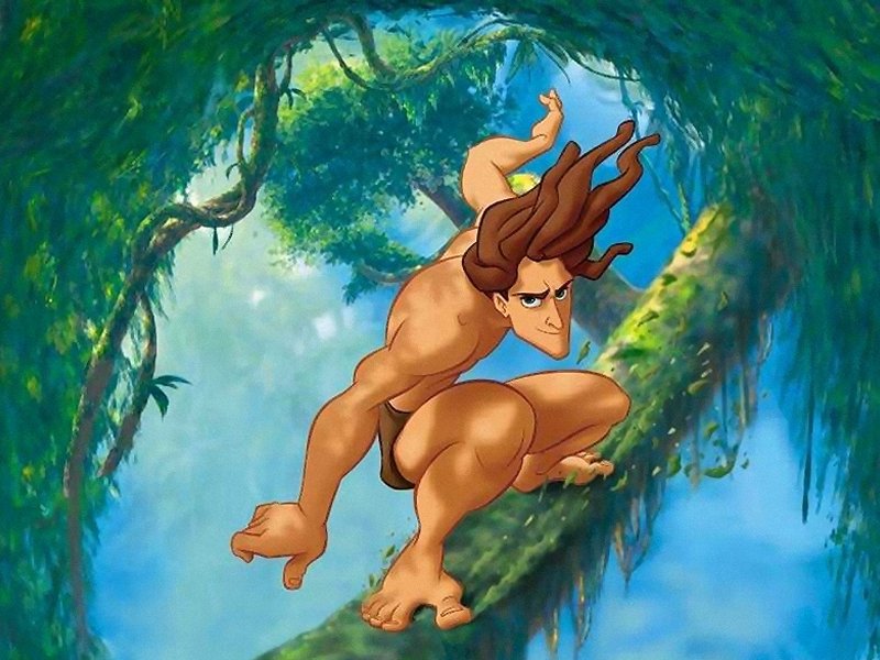 Tarzan (800x600 - 100 KB)