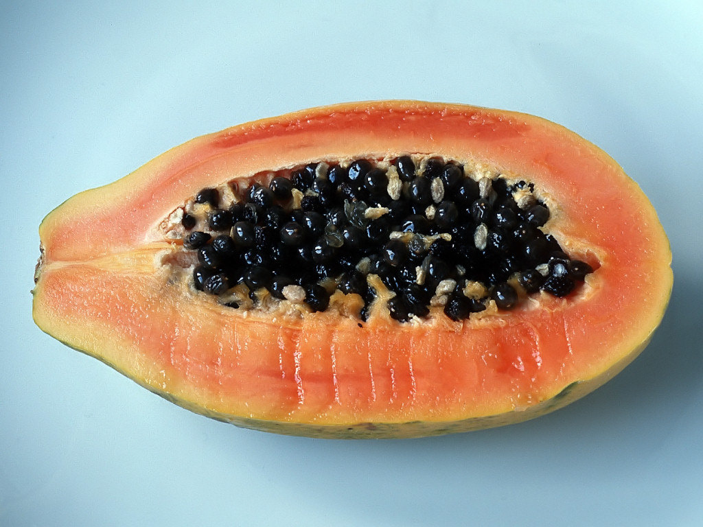 Papaya (1024x768 - 205 KB)