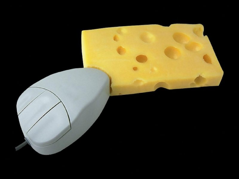 Formaggio (800x600 - 28 KB)