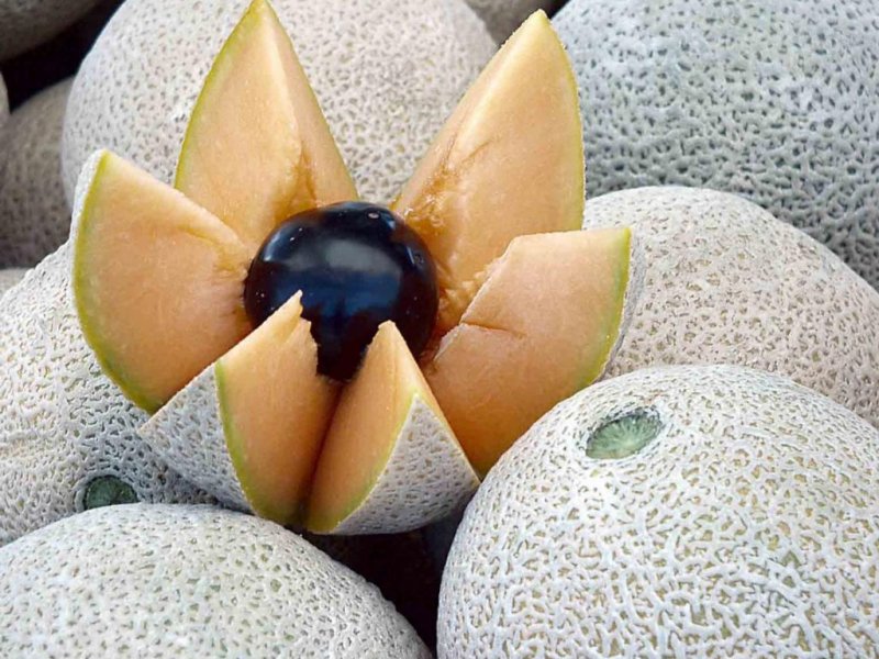 Melone (800x600 - 115 KB)