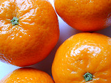 Mandarini