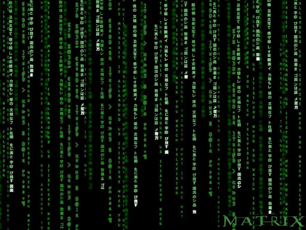 The Matrix (1024x768 - 230 KB)