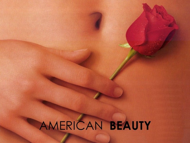 American Beauty (800x600 - 66 KB)