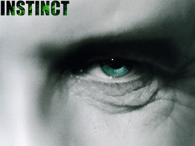 Instinct (800x600 - 127 KB)