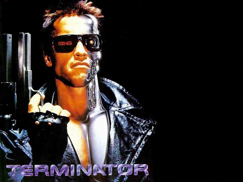 Terminator (800x600 - 239 KB)