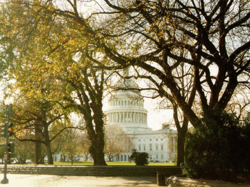 Capitol (800x600 - 155 KB)