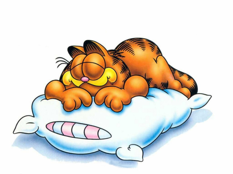 Garfield (800x600 - 89 KB)