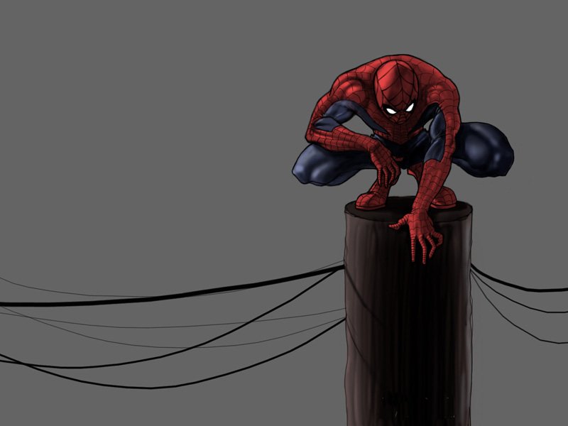 Spiderman (800x600 - 34 KB)