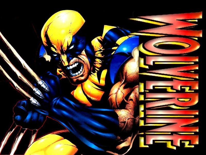X-Men (800x600 - 105 KB)