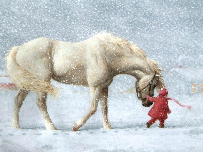 Cavallo (800x600 - 102 KB)