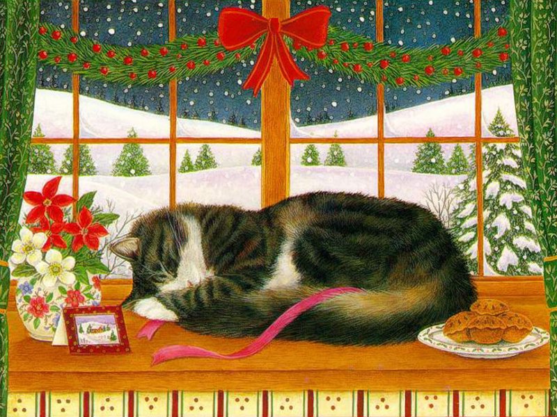 Gatto (800x600 - 157 KB)