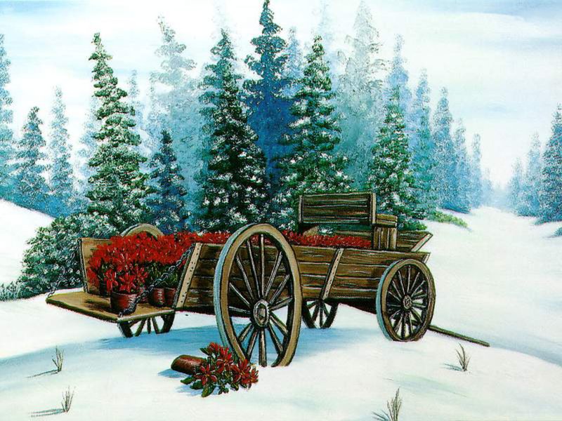 Carro (800x600 - 134 KB)