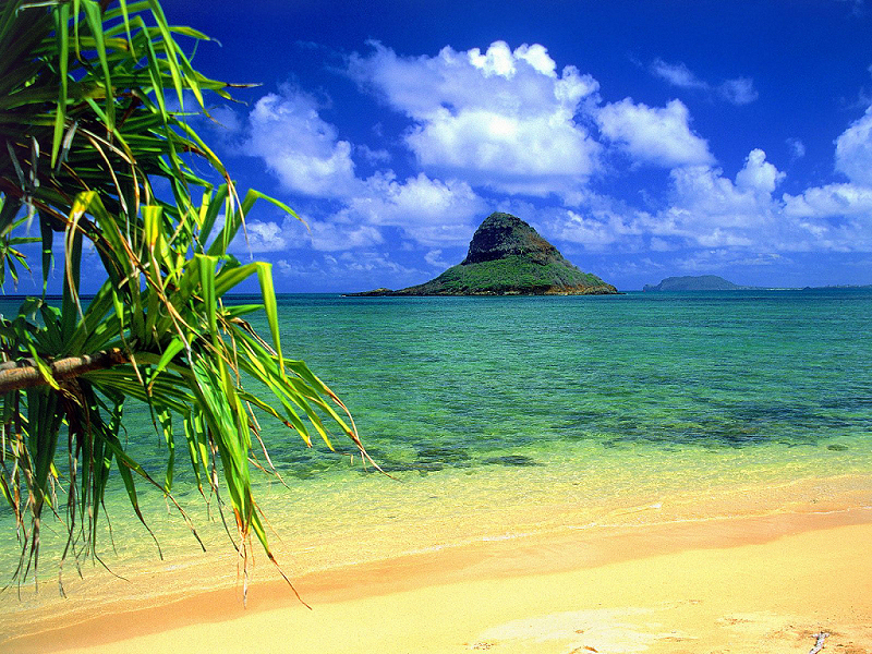 Spiaggia (800x600 - 721 KB)