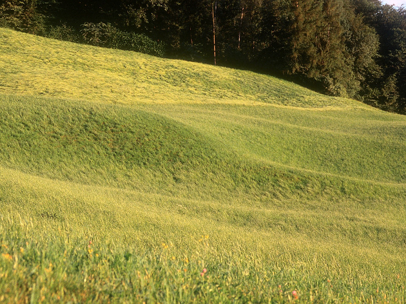 Campagna (800x600 - 275 KB)