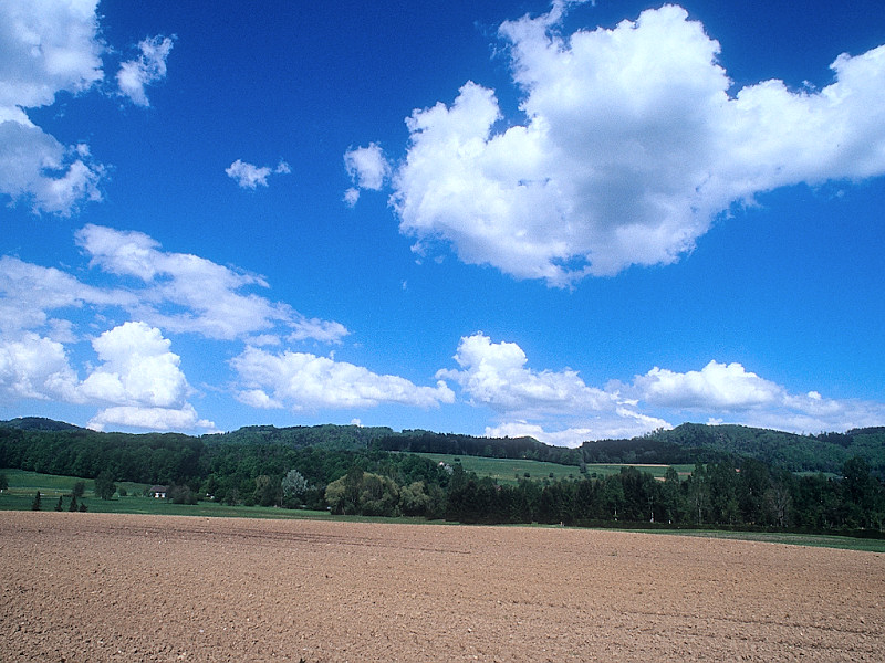 Campagna (800x600 - 183 KB)