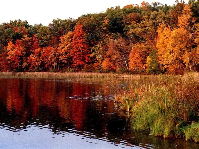 Lago (800x600 - 428 KB)