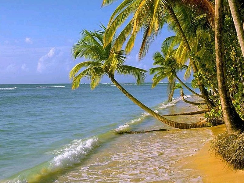 Tropici (800x600 - 133 KB)