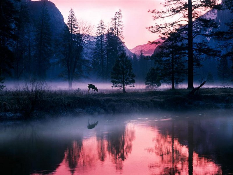 Lago di montagna (800x600 - 91 KB)