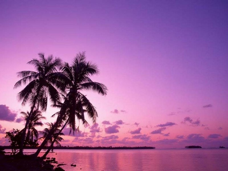 Tramonto tropicale (800x600 - 63 KB)