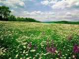 Campagna