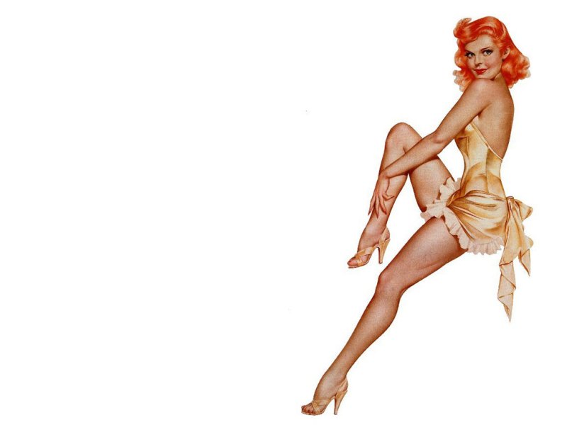 Pinup (800x600 - 31 KB)