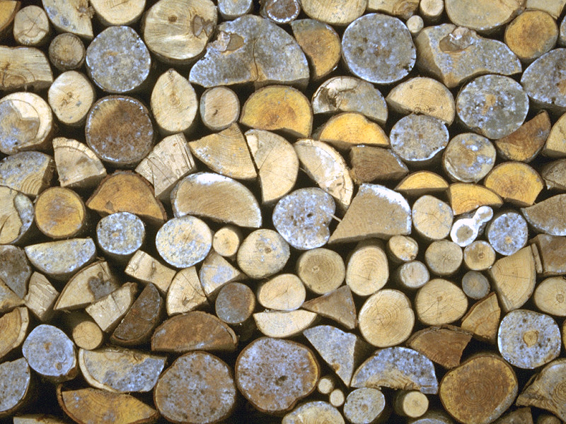 Catasta di legna (800x600 - 250 KB)