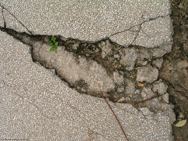 Crepa nel muro (800x600 - 355 KB)