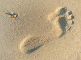Orma sulla sabbia